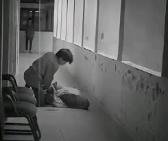 5 Fakta Mahasiswi Riau Di Bacok Teman Sebelum Sidang Skripsi