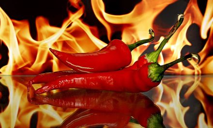 Cara Menjaga Lambung Sehat Bagi Pecinta Makanan Pedas