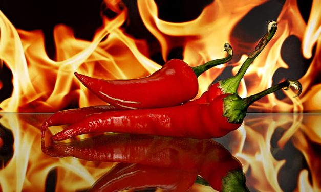 Cara Menjaga Lambung Sehat Bagi Pecinta Makanan Pedas