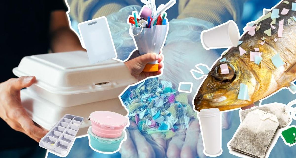 Pengawasan Mikroplastik Pada Makanan Kemasan Ditingkatkan