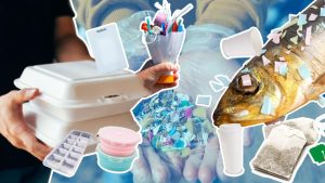 Pengawasan Mikroplastik Pada Makanan Kemasan Ditingkatkan