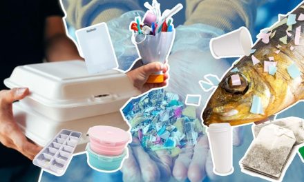 Pengawasan Mikroplastik Pada Makanan Kemasan Ditingkatkan