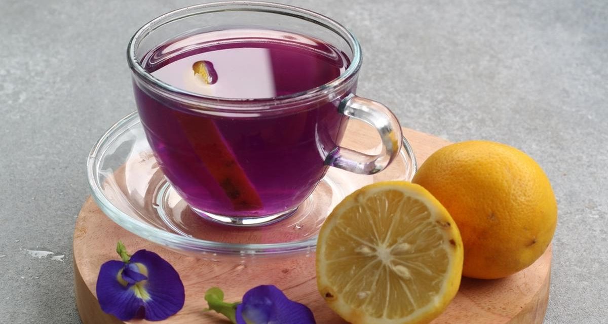 Honey Lemon Butterfly Pea: Minuman Bunga Telang Dan Lemon