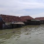 Ratusan Rumah Di Semarang Dan Demak Terendam Air Laut