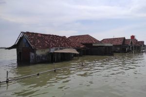 Ratusan Rumah Di Semarang Dan Demak Terendam Air Laut